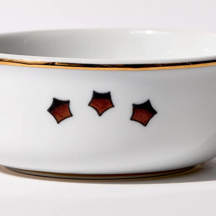 Detail view of back of shaving bowl with illustration of vintage stylized American flag stars, gold trim